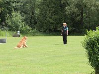 Bendix und das Boxband (79)